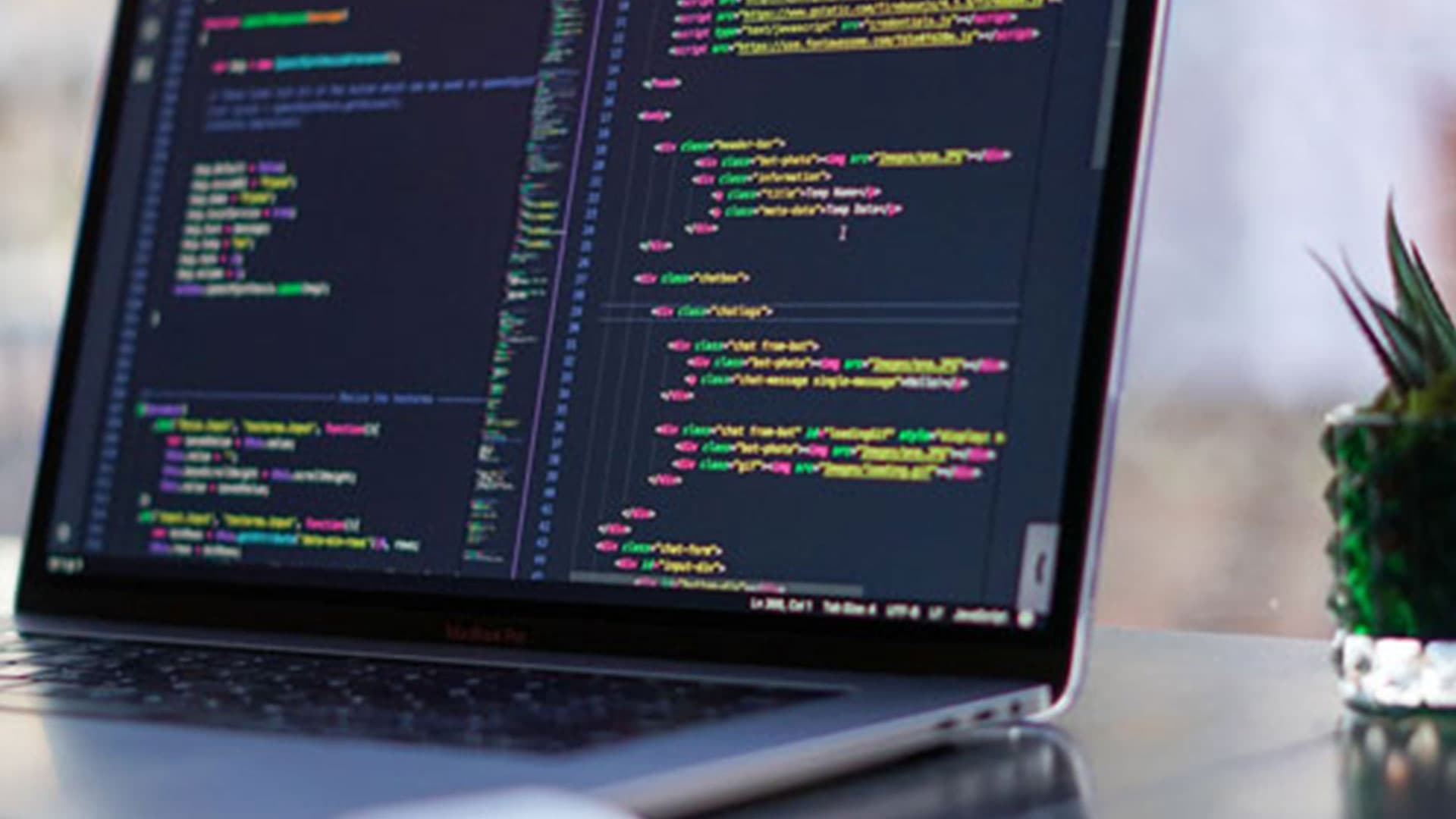 How to start a web developer career in 2024?